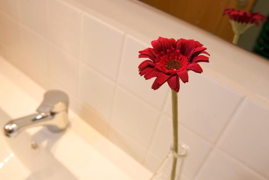 Apartaments Rural Montseny Gualba de Dalt Екстериор снимка