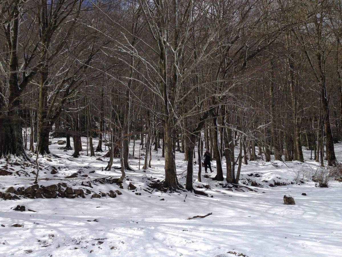Apartaments Rural Montseny Gualba de Dalt Екстериор снимка