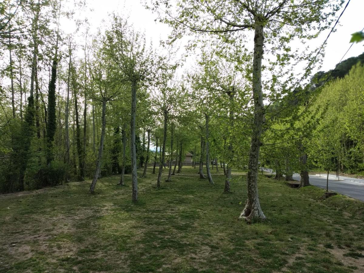 Apartaments Rural Montseny Gualba de Dalt Екстериор снимка